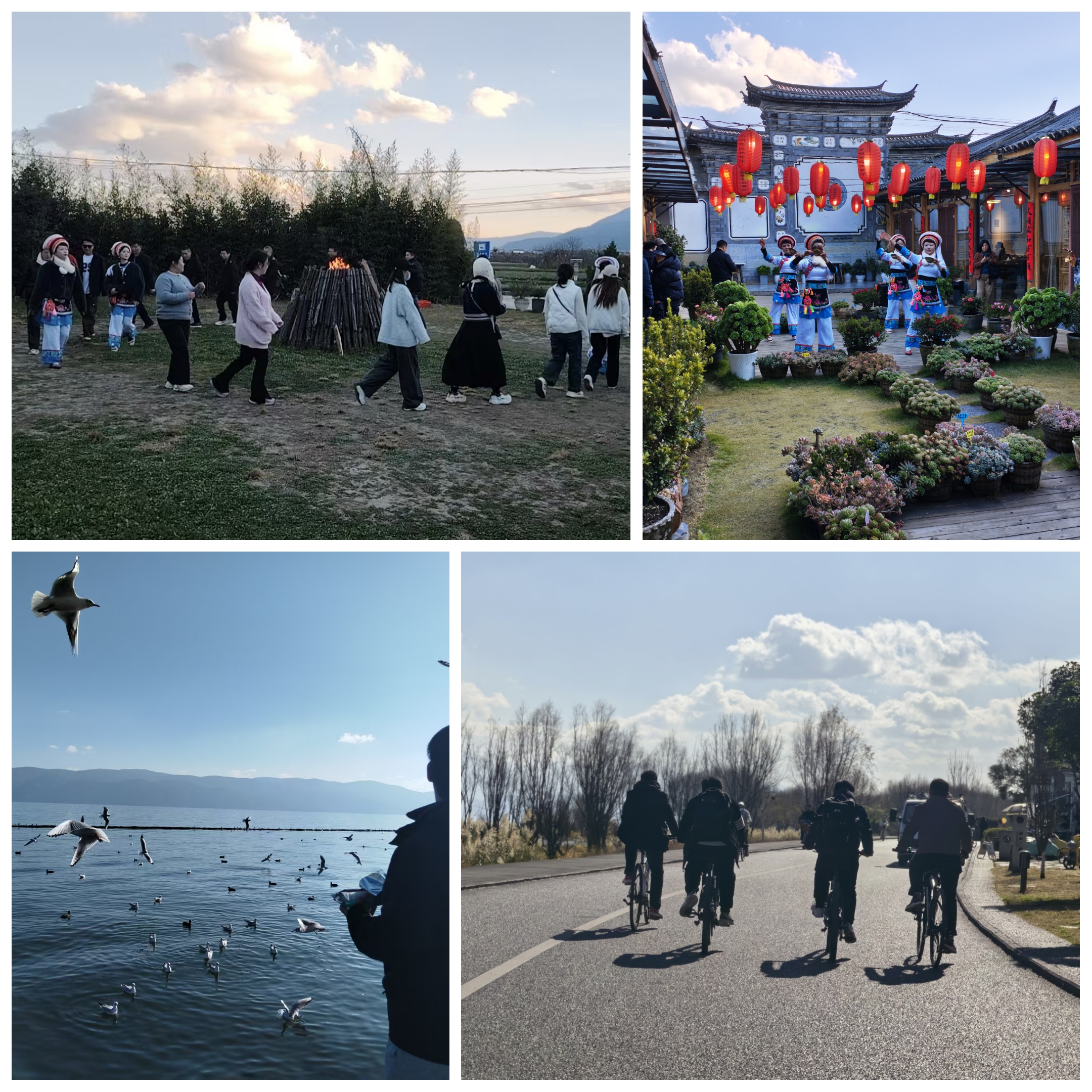 河南易沃克團建之洱海生態走廊