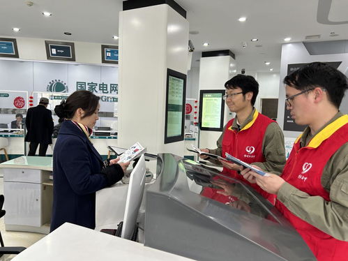 國網(wǎng)咸寧供電公司聯(lián)合大連家政服務(wù)企業(yè)開展3.15優(yōu)質(zhì)服務(wù)宣傳活動，共筑誠信服務(wù)新生態(tài)